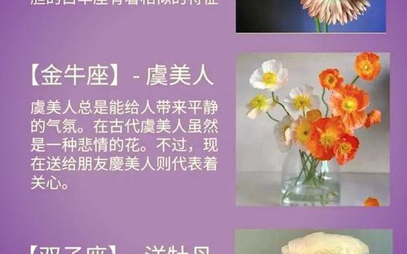每个属相的幸运花是什么