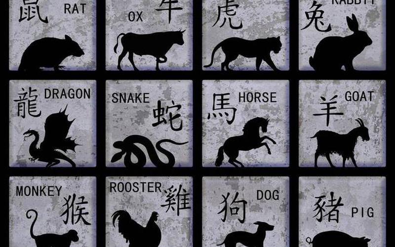 生肖和房屋朝向