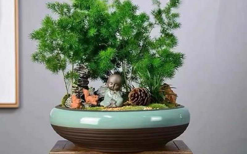 属相绿植