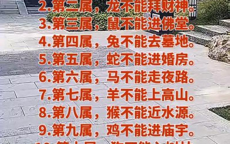 属相禁忌顺口溜大全集