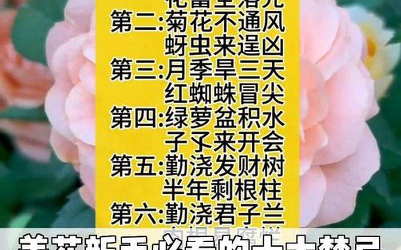 花草风水禁忌
