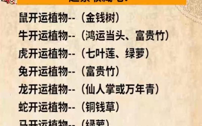 属什么生肖种什么植物