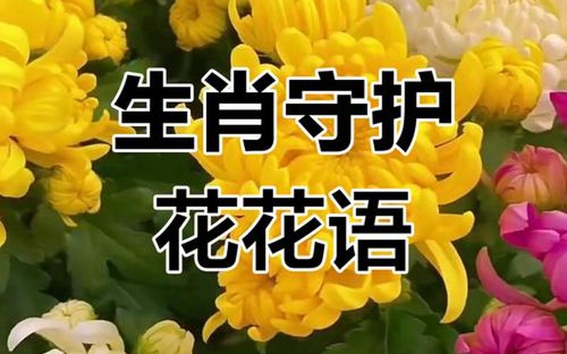 生肖和花摆放