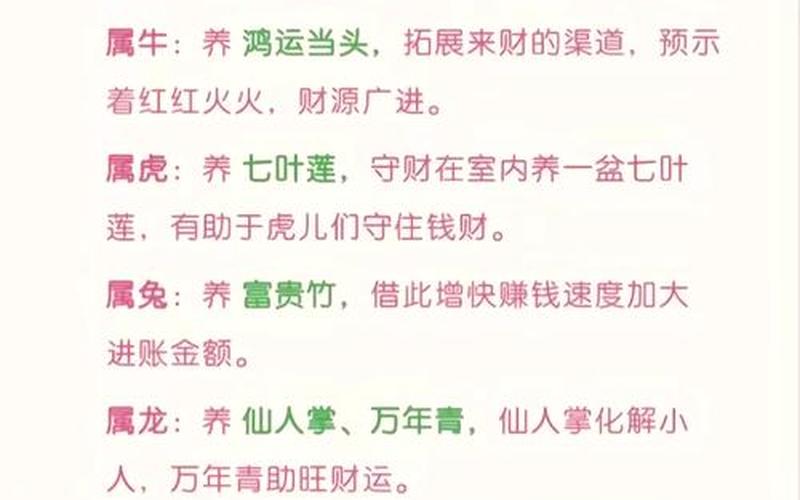 每个属相风水花卉有哪些