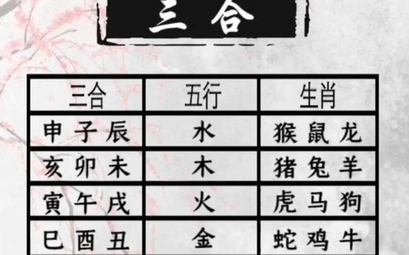 风水和属相有关系吗
