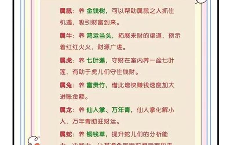 各种属相养什么花