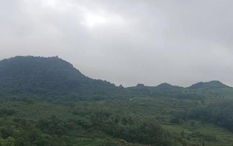 生肖朝向