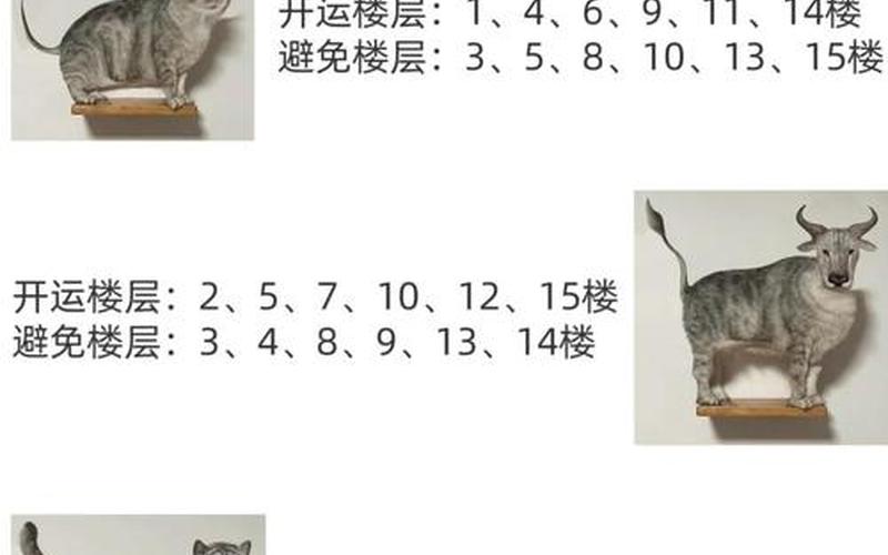 属相选择楼层