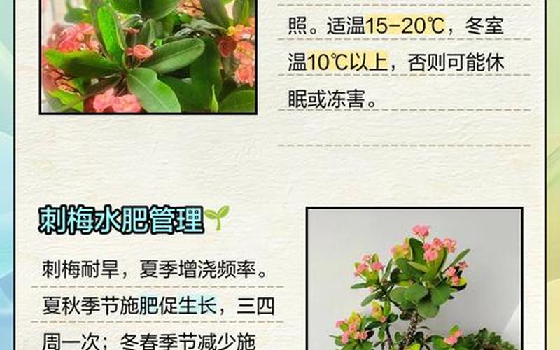 属相养花风水禁忌