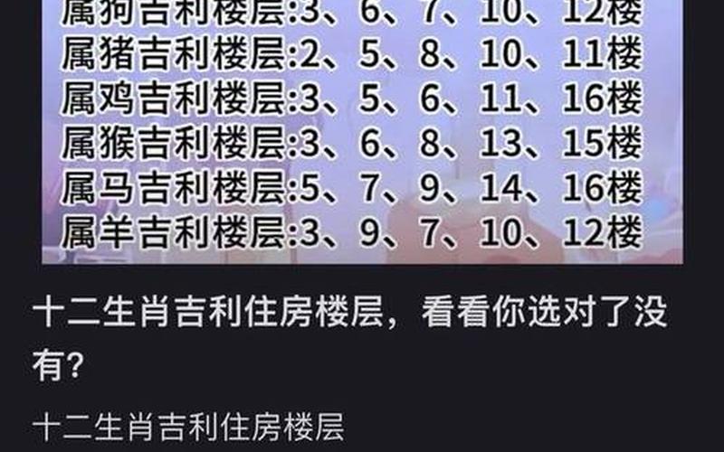 12生肖适合购房楼层