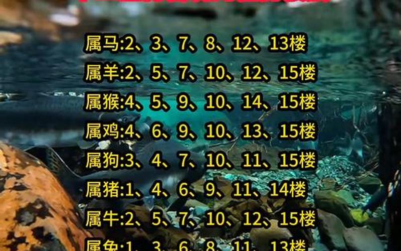 生肖楼层选择多少层最好
