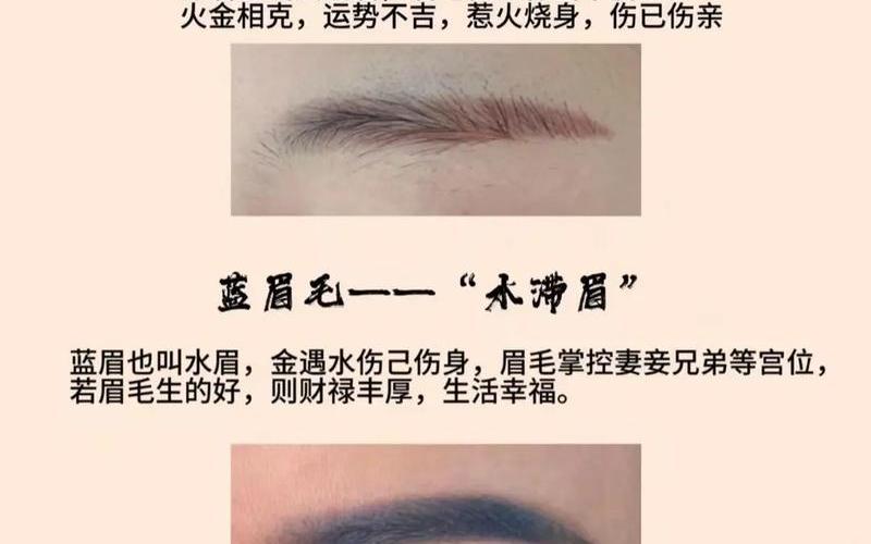 关于眉毛的风水运势