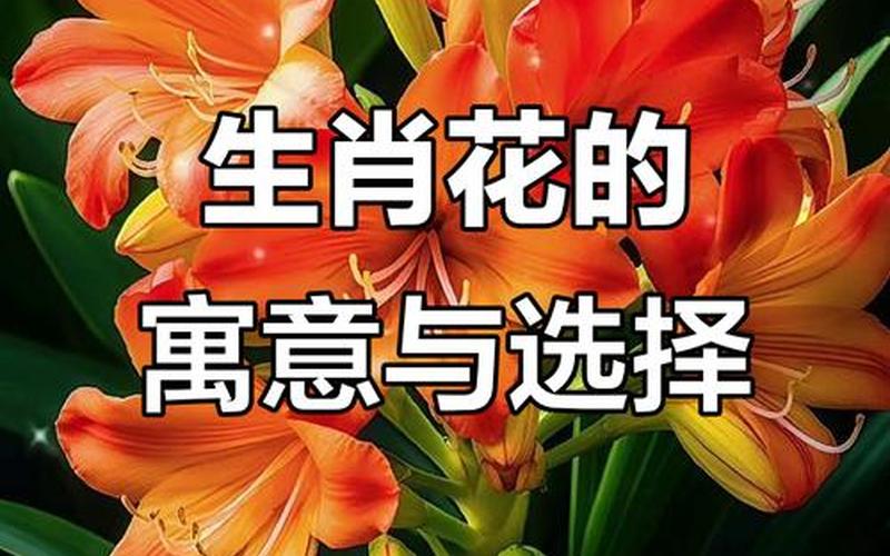 每个属相对应的植物