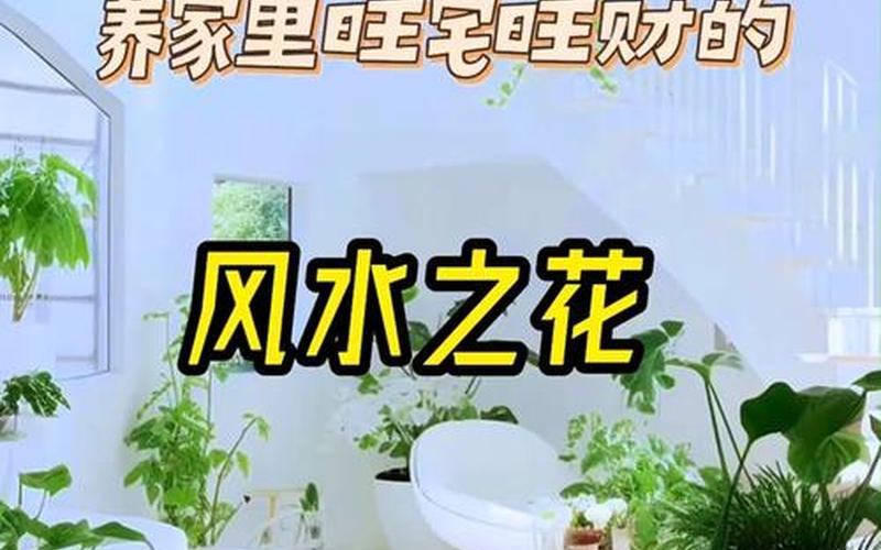 属相养花风水