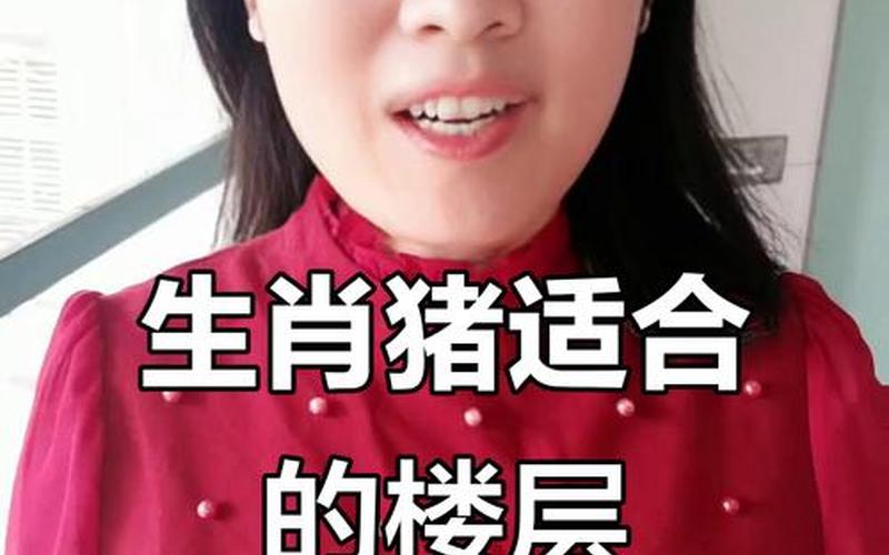 属相住几楼可信吗