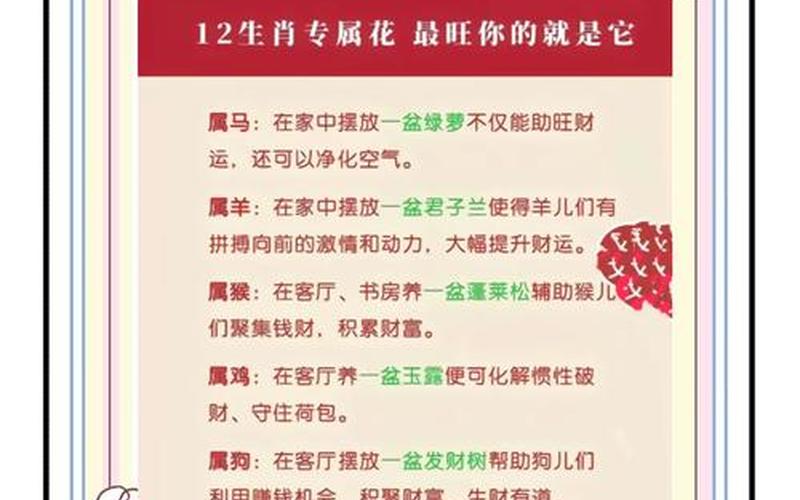 各种属相对应的花