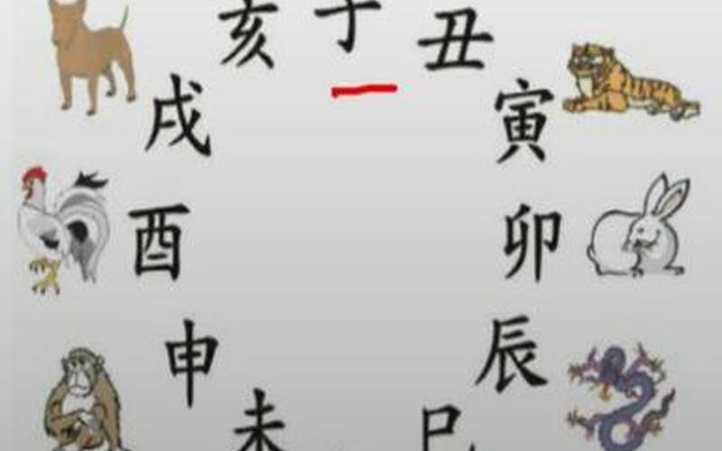 属相风水感悟