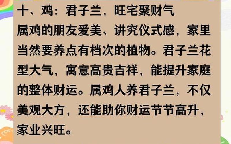 属相与植物风水关系怎么样