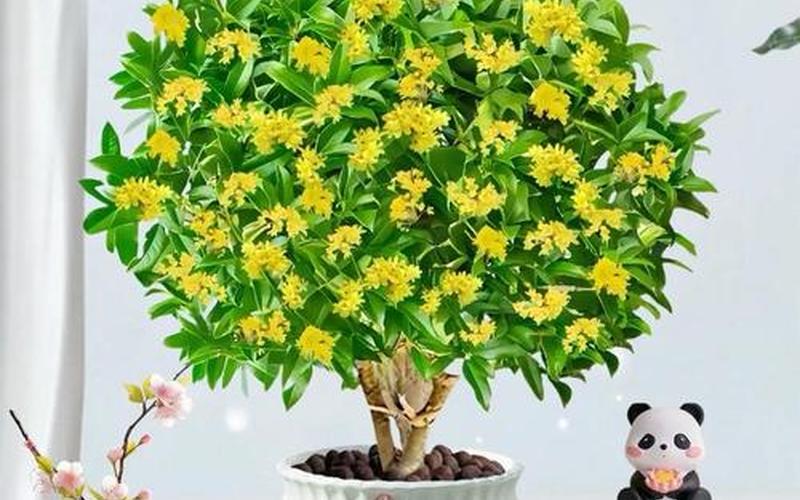 风水植物禁忌