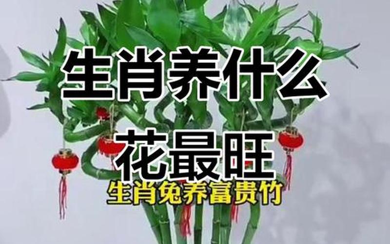属相宜和植物