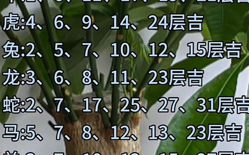 属相吉利楼层一览表