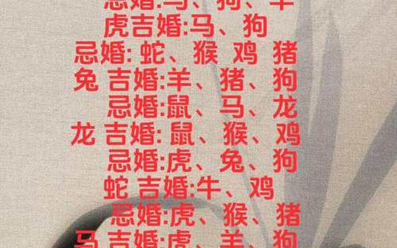属相的配对和禁忌都有什么