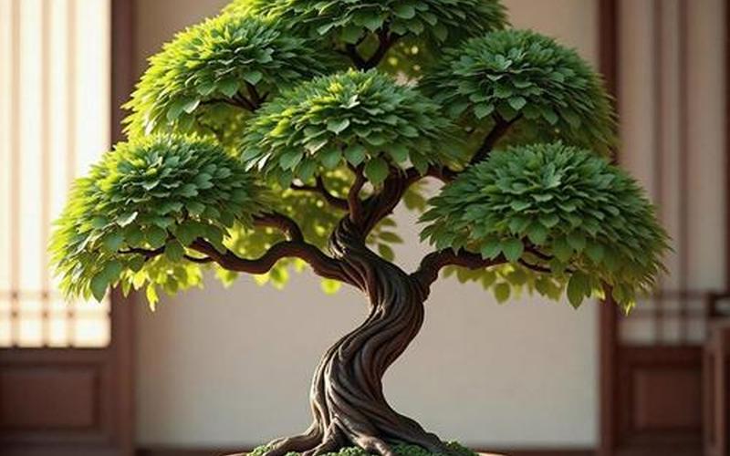 风水学植物篇